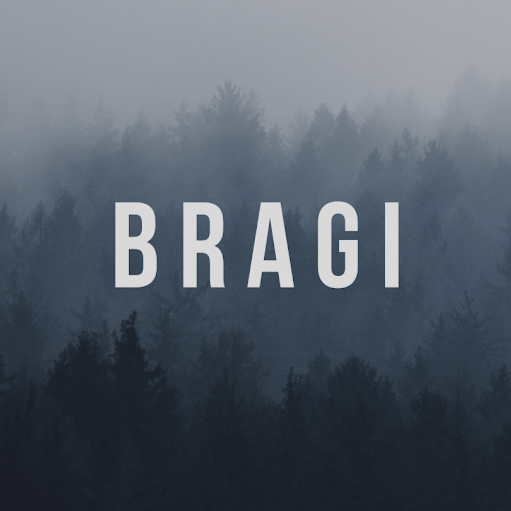 Profile picture of Bragi Prod